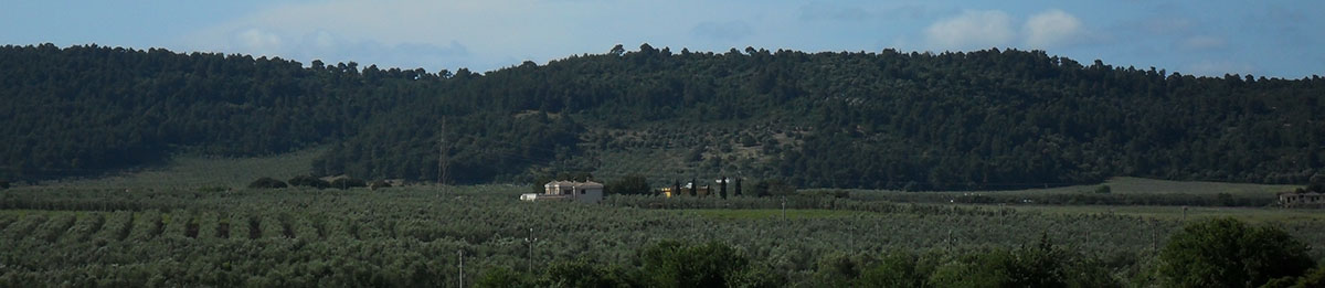 azienda